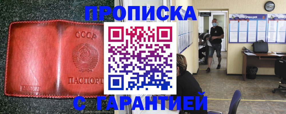 прописка гарантия в Ковылкино